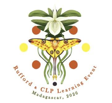 Madagascar LE Logo Design & IP (c) Finaritra Randimbiarison