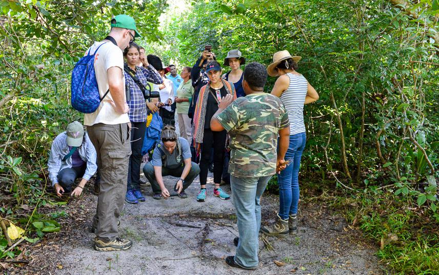 The participants on an excursion to the Community Baboon Sanctuary in Belize.