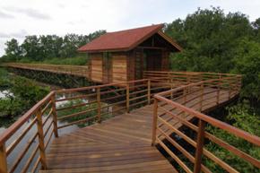Muara Angke Wildlife Sanctuary.