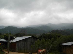 Community Conserved Area, San Miguel Chimalapa.