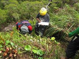 Clipeata team counted and observed N. clipeata found on Mt. Kelam.