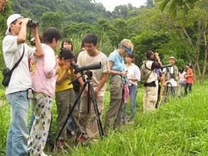 Observing raptors from nest.