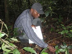 Inaoyom Imong counting herbs in a plot.