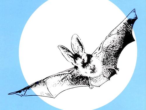 Project Logo.