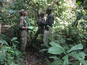 Community member measuring tree height in the forest