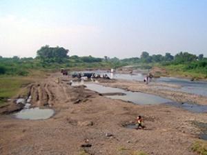 Habitat degradation.