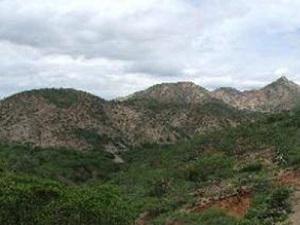 Parque Nacional Cerro Saroche.