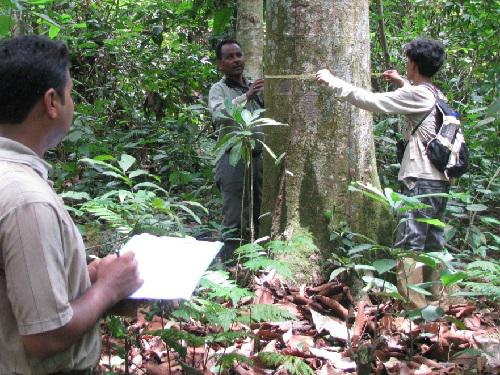 Recording habitat data in Gibbon WLS.