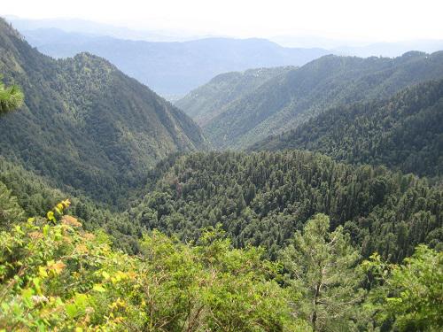 Ayubia National Park at a glance.