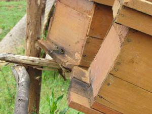 Modern bees keeping boxes installed in spot places.