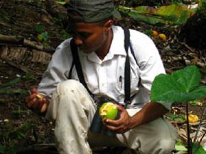 Crop damage assessment.