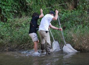 Sampling a river shore.