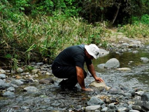 Collecting aquatic insects.