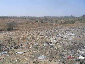 Refuse dump at the boundary of the wildlife park.