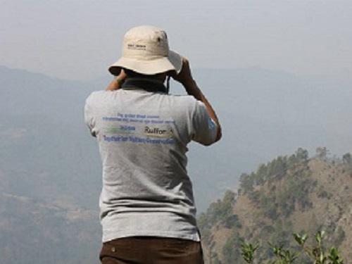 Vulture Monitoring