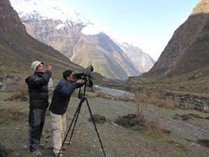 Team leader monitoring prey species of Snow Leopard.