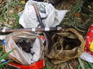 Hunting tools.