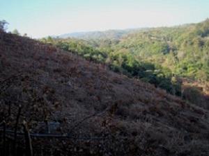 Fragmented Landscape.