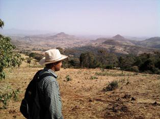 Daraba-Sigsi, one of the quickly vanishing large forest patch.