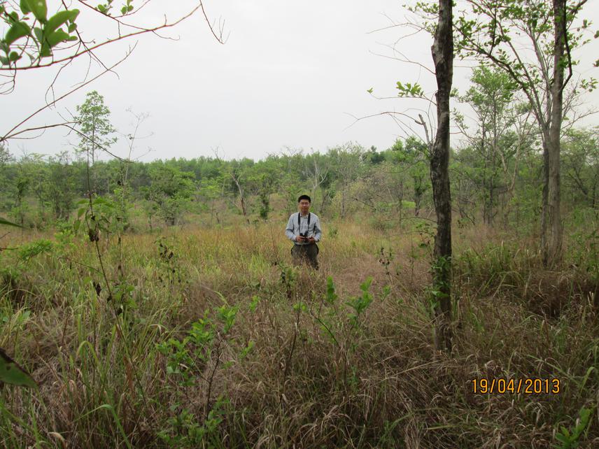 Surveying in the field.
