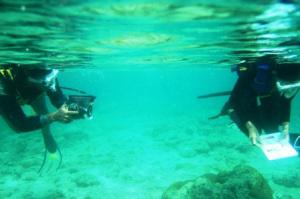 Making Documentary Film about Coral Reef State.