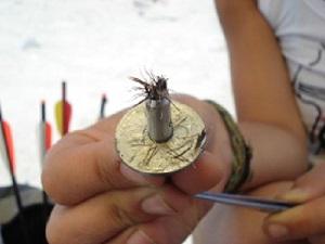 The biopsy dart with a sea lion fur sample.