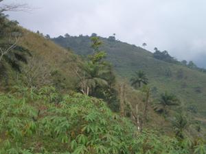 The degraded Lechotaw forest landscape.