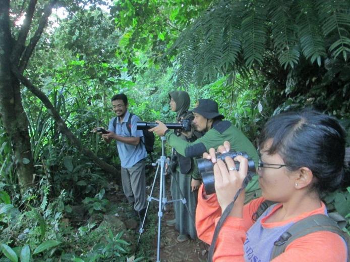 BKSDA staff and our team observing gibbon, in Linggoasri.