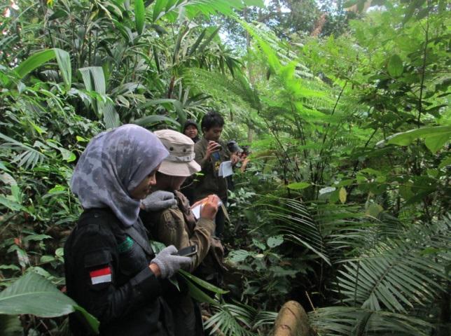In the field.