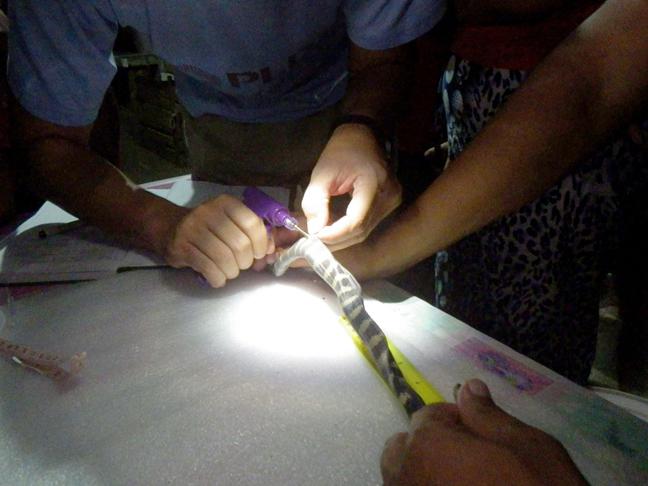Specimen Marking using PIT Tags.