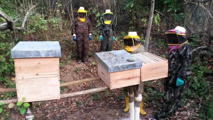 Cordillera del Balsamo Apiculture.