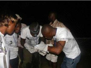 Participants learning how to remove bat from net.