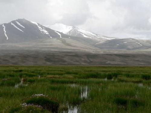 Alichur swamp.