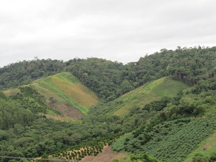 Landscape.