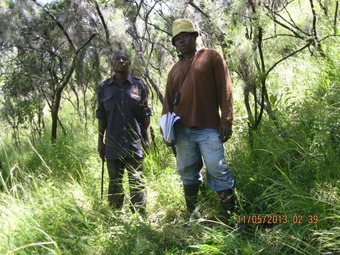 Illegal lumbering hut in the Lwafi Game Reserve.