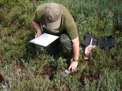 Measurement of bog water. © Dmitry Grummo.