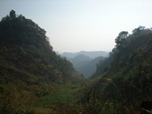 Pangolin's habitats.