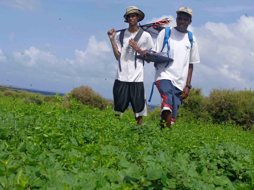 Seabird count with Devon Carter and Jibri Lewis. © Farah Mukhida.