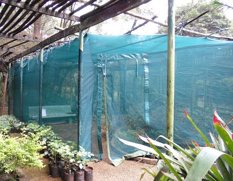 Butterfly house also in the Boscowen area adjacent to the pollinator garden.
