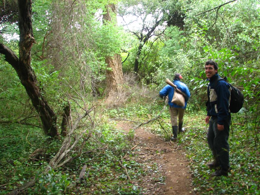 Engaging in ranchers´ activities during visits to their landholdings aimed at collecting data on attitudes and intentions towards forest conservation.