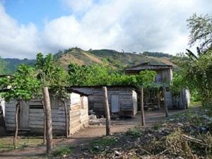 Degraded hills – exposed to erosion.