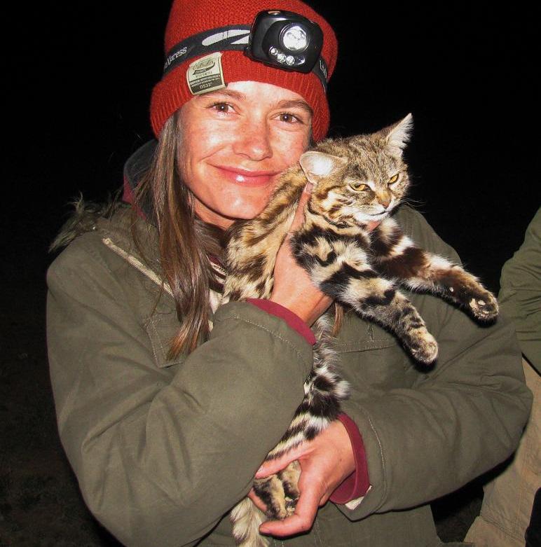 Me with one of the captured black-footed cats on the BFCWG field trip November 2013. © S. Silinski.