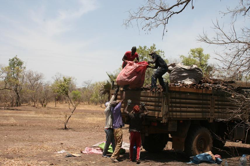 Working with a local team to clear rubbish from an old rubbish dump within Niokolo Koba National Park