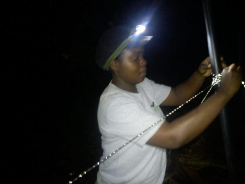 Field work.