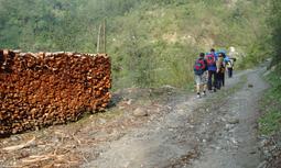 Project image