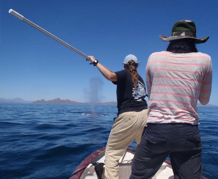 During field work using the MK-10 Tag 1.