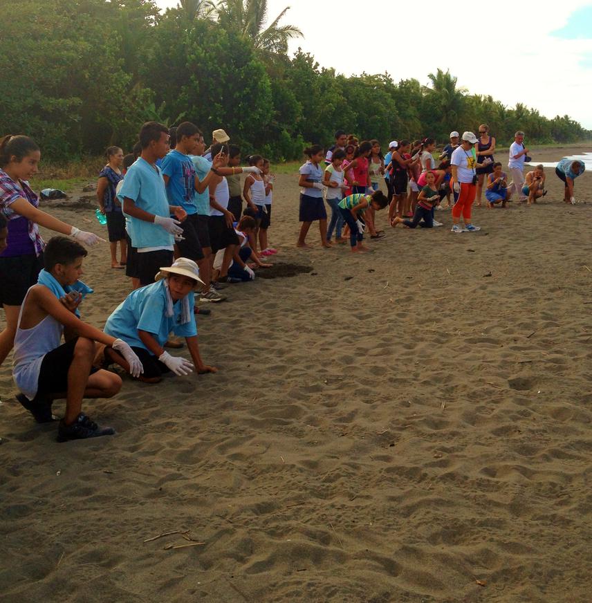 Local students releasing baby turtles.
