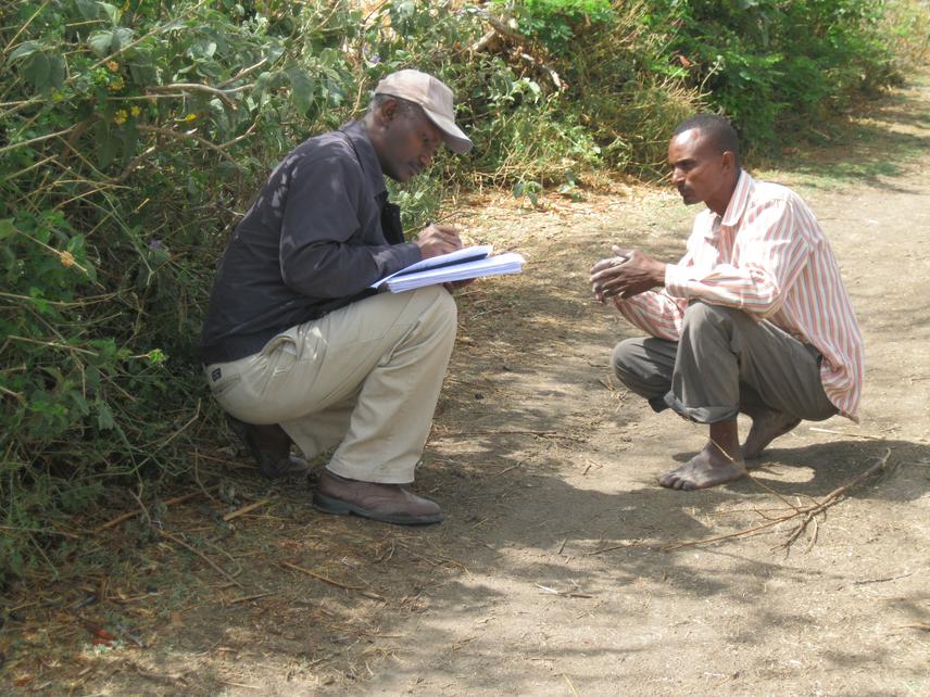 Interview with farmer in Komblocha Woreda.
