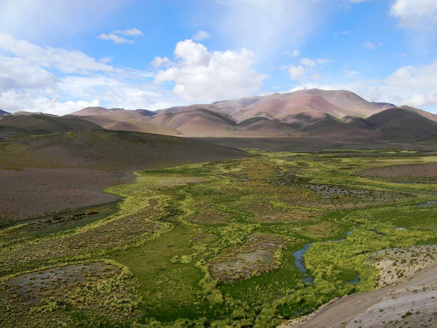 Incachule peatbog.