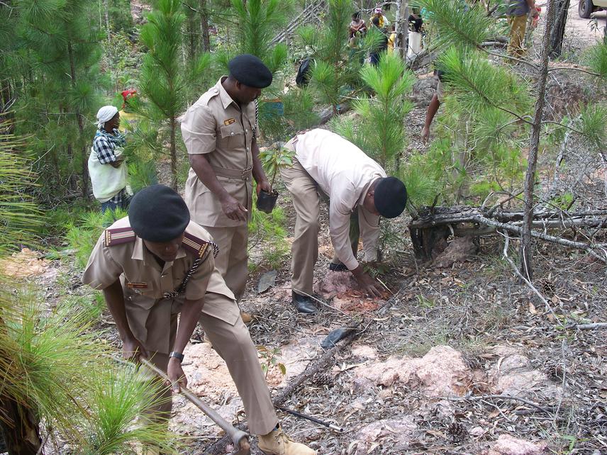 Tree planting in the forest Local Administrative officers participating